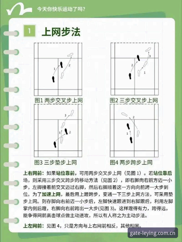 乐盈体育官网使用教程：从安全入口到App下载的完整操作指南